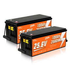 CTOLITY  CT100-25 25.6V 100Ah 2560Wh LiFePO4 Battery