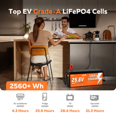 CTOLITY  CT100-25 25.6V 100Ah 2560Wh LiFePO4 Battery